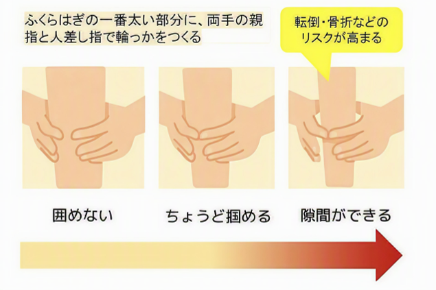 指輪っかテストで、ふくらはぎを囲めるか確認する図