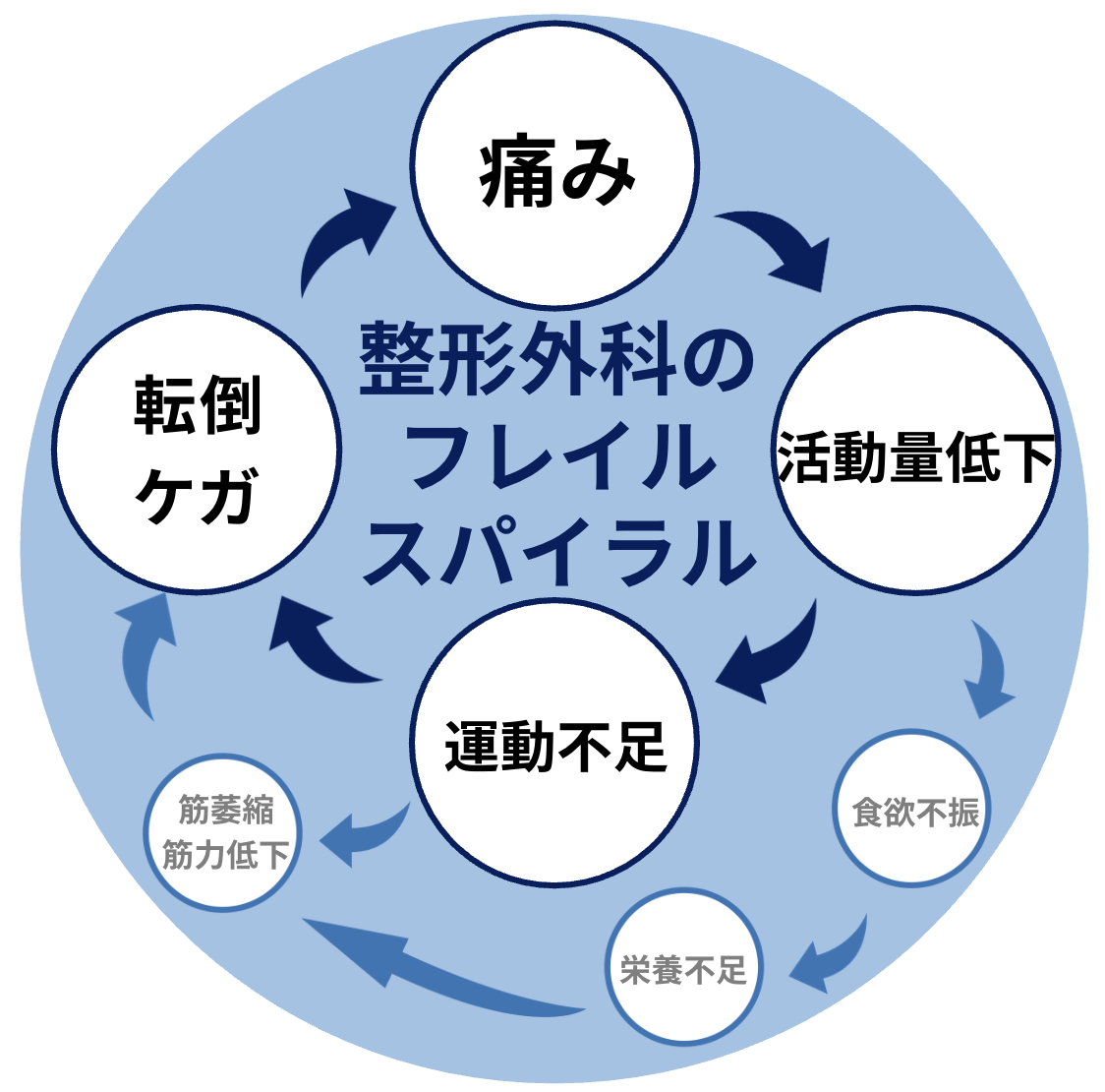 痛み、活動量低下、運動不足、転倒ケガがつながる整形外科のフレイルスパイラル